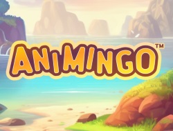 Animingo